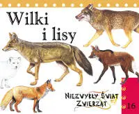Okładka: Wilki i lisy. Niezwykły świat zwierząt