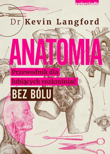Okładka: Anatomia. Przewodnik dla lubiących rozkminiać bez bólu