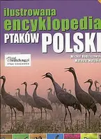 Okładka: Ilustrowana encyklopedia ptaków Polski