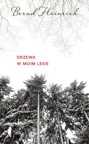 Okładka: Drzewa w moim lesie