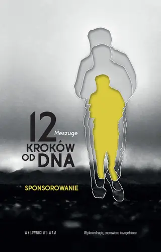 Okładka: 12 kroków od dna. Sponsorowanie