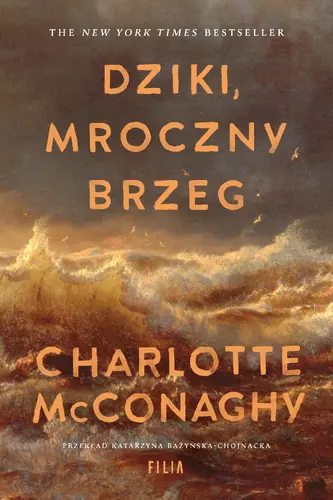Okładka: Dziki, mroczny brzeg