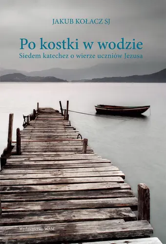 Okładka: Po kostki w wodzie