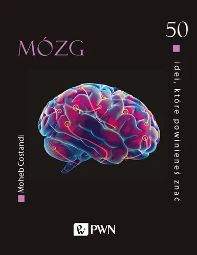 Okładka: 50 idei, które powinieneś znać. Mózg