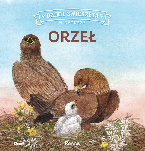 Okładka: Dzikie zwierzęta w naturze. Orzeł