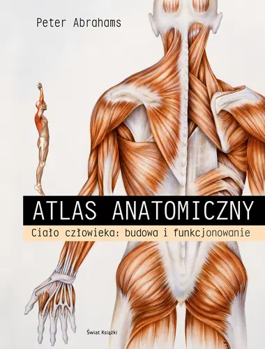 Okładka: Atlas anatomiczny.