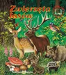 Okładka: Zwierzęta lasów