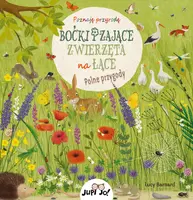 Okładka: Boćki i zające. Zwierzęta na łące.