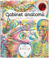 Okładka: Gabinet anatomii