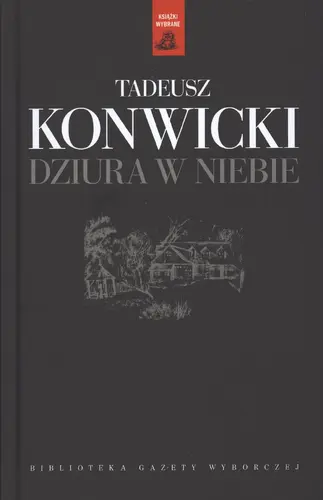 Okładka: Dziura w niebie