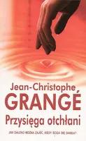 Okładka: Przysięga otchłani. Jak daleko można zajść, kiedy ściga się diabła?