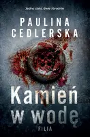 Okładka: Kamień w wodę