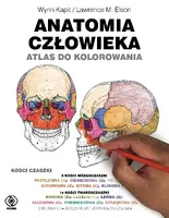 Okładka: Anatomia człowieka. Atlas do kolorowania
