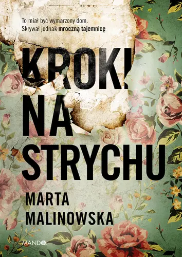 Okładka: Kroki na strychu