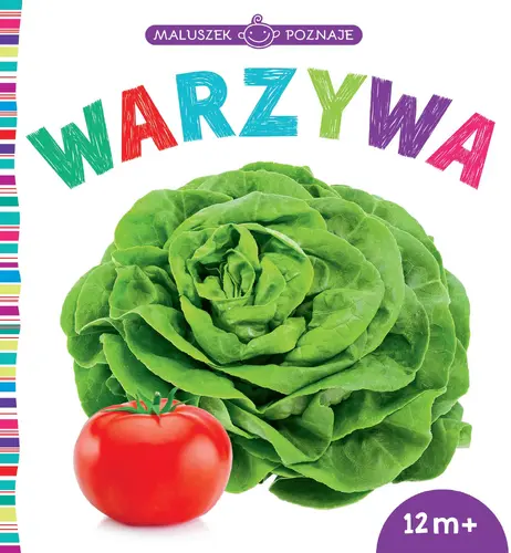 Okładka: Maluszek poznaje. Warzywa