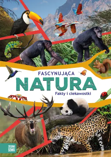 Okładka: Fascynująca natura