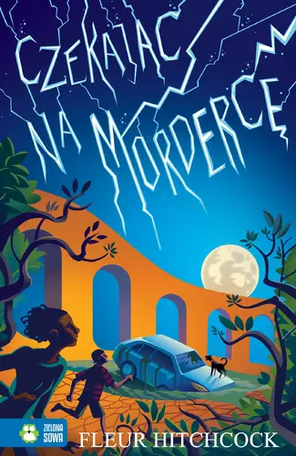 Okładka: Czekając na mordercę