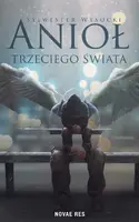 Okładka: Anioł trzeciego świata
