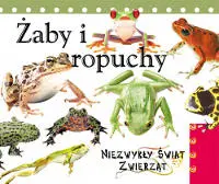 Okładka: Żaby i ropuchy. Niezwykły świat zwierząt