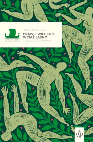 Okładka: Prawie wieczór, wciąż jasno