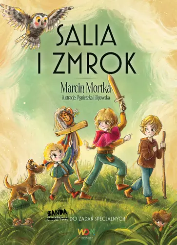 Okładka: Salia i Zmrok