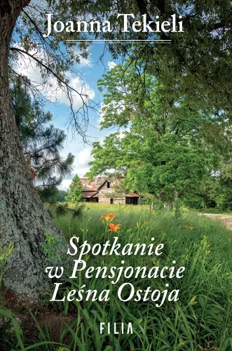 Okładka: Spotkanie w Pensjonacie Leśna Ostoja
