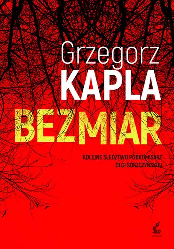Okładka: Bezmiar