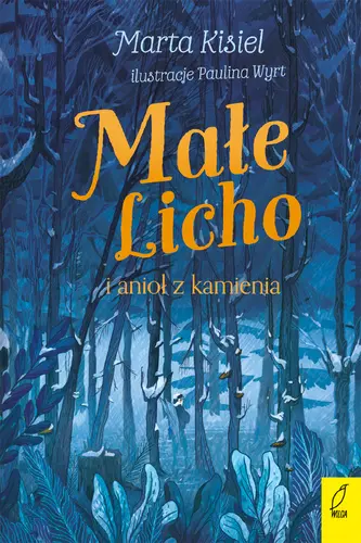 Okładka: Małe Licho i anioł z kamienia