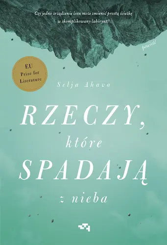 Okładka: Rzeczy, które spadają z nieba