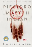 Okładka: Pięcioro małych Indian