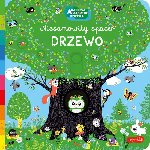 Okładka: Drzewo. Akademia mądrego dziecka. Niesamowity spacer