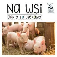 Okładka: Na wsi. Jakie to ciekawe. Kapitan Nauka