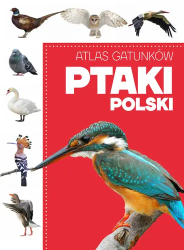 Okładka: Atlas gatunków. Ptaki Polski