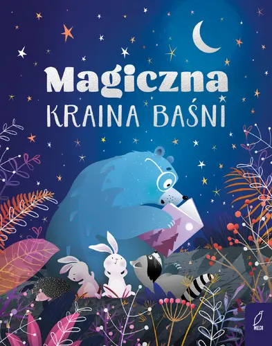 Okładka: Magiczna kraina baśni