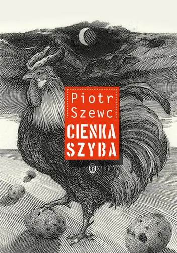 Okładka: Cienka szyba