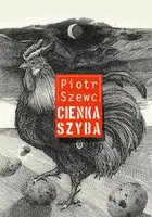 Okładka: Cienka szyba
