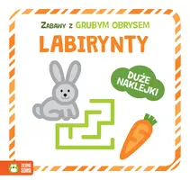 Okładka: Zabawy z grubym obrysem. Labirynty