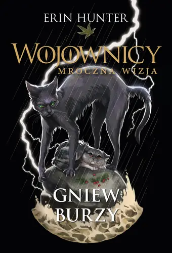 Okładka: Gniew burzy