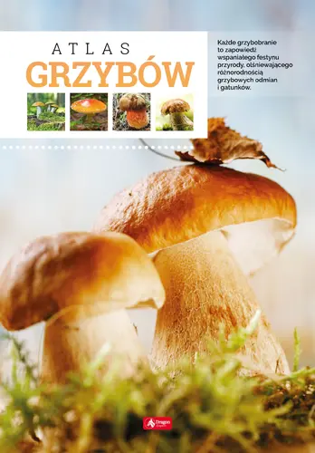 Okładka: Atlas grzybów