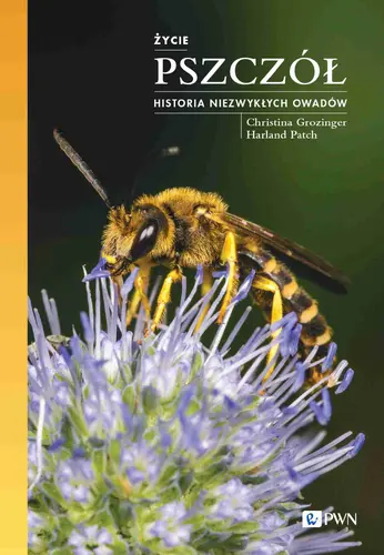 Okładka: Życie pszczół. Historia niezwykłych owadów