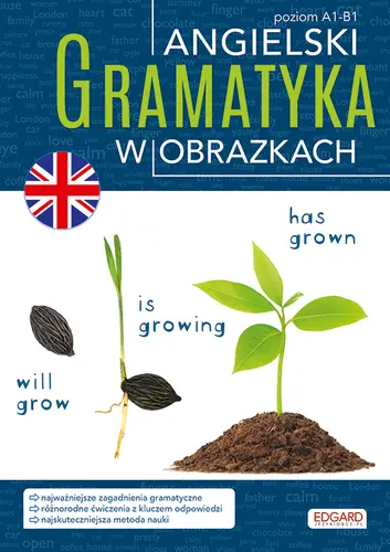 Okładka: Angielski. Gramatyka w obrazkach