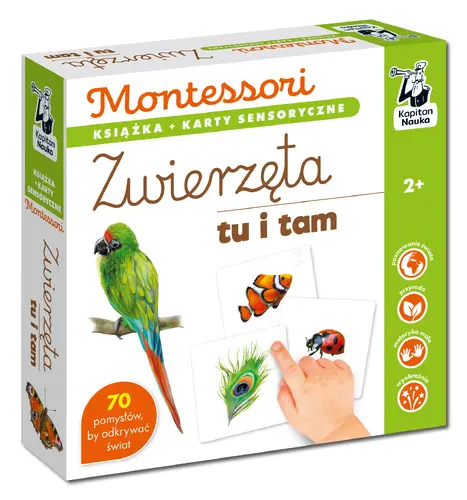 Okładka: Montessori. Zwierzęta tu i tam. Karty sensoryczne z książeczką. Kapitan Nauka