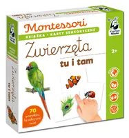 Okładka: Montessori. Zwierzęta tu i tam. Karty sensoryczne z książeczką. Kapitan Nauka