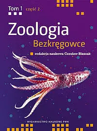 Okładka: Zoologia bezkręgowce. Tom 1. Część 2
