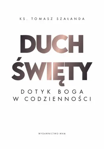 Okładka: Duch Święty Dotyk Boga w codzienności
