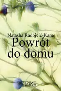 Okładka: Powrót do domu