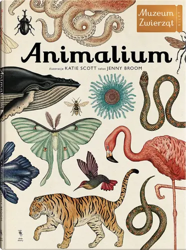 Okładka: Animalium