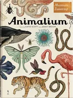 Okładka: Animalium