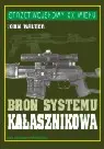 Okładka: Broń systemu kałasznikowa