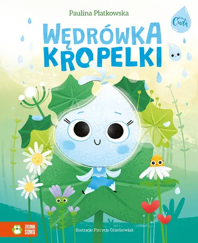 Okładka: Mikrocuda. Wędrówka kropelki
